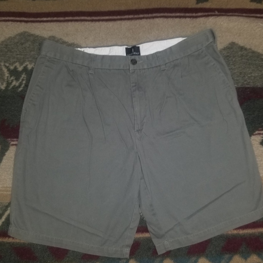 Lanesboro Shorts 38 Hidden Expandable Waist EUC